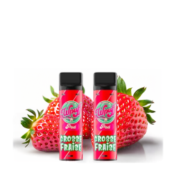 Cartouche Pré-Remplie 9mg (2pcs) - Wpuff Original by Liquideo
