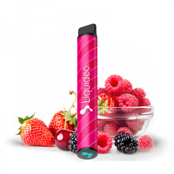 Starter Kit 600 Puffs 17mg (1pc) - Wpuff Original by Liquideo