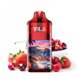 XPower 50K + 2 E-liquides 850mAh 10ml / 20mg - Vila