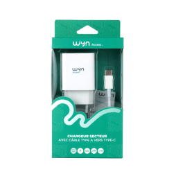 Dual USB Wall Adapter with USB-A to USB-C Cable - WYN Access