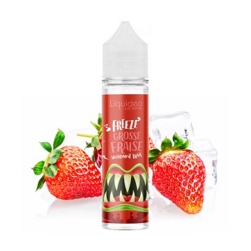 Grosse Fraise 0mg 50ml - Liquideo Freeze