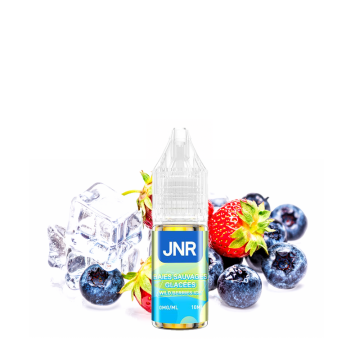 Wild Berries Ice Nic Salt 20mg 10ml - JNR