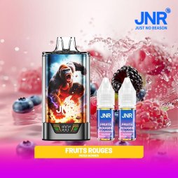 Kit Gorilla X 43K 1000mAh 15ml / 2% - JNR