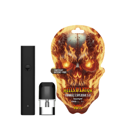 Starter Kit 700 Puff CBD - Skull Vape By Formule Explosive