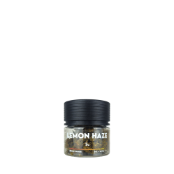 Lemon Haze Fleur de CBD (5g) - Beullywood