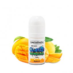 Concentrate Mango 30mg - Cloud Niners