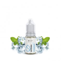 Iceberg - Savourea  10ml TPD READY