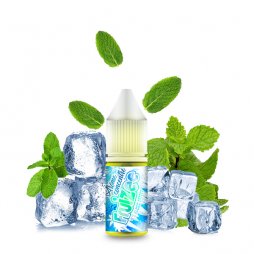 Concentré Icee Mint 10ml - Fruizee by Eliquid France