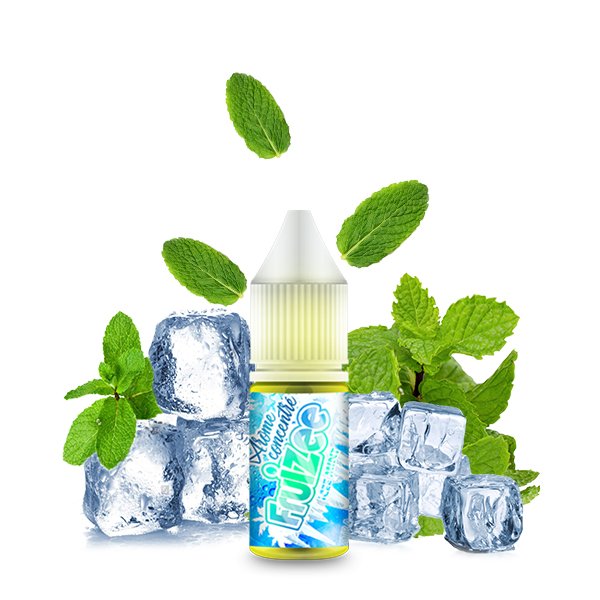 [Destockage] Concentré Icee Mint 10ml - Fruizee by Eliquid France
