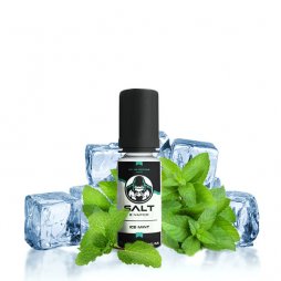 Ice Mint - Salt E-vapor 10ml TPD