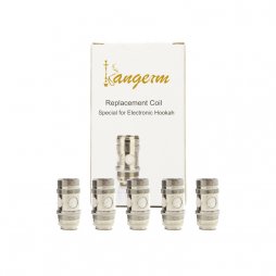 Replacement NI200 0.2 ohms Kangerm