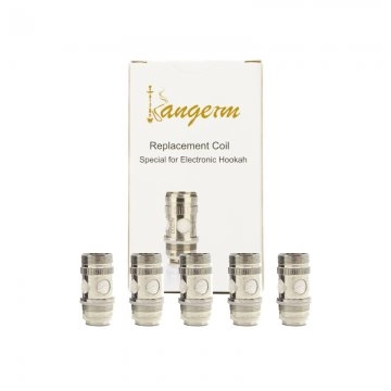 Replacement NI200 0.2 ohms Kangerm