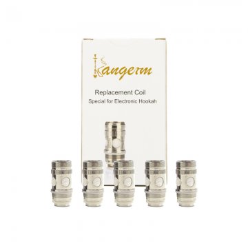 Résistance NI200 0.2 ohms Kangerm