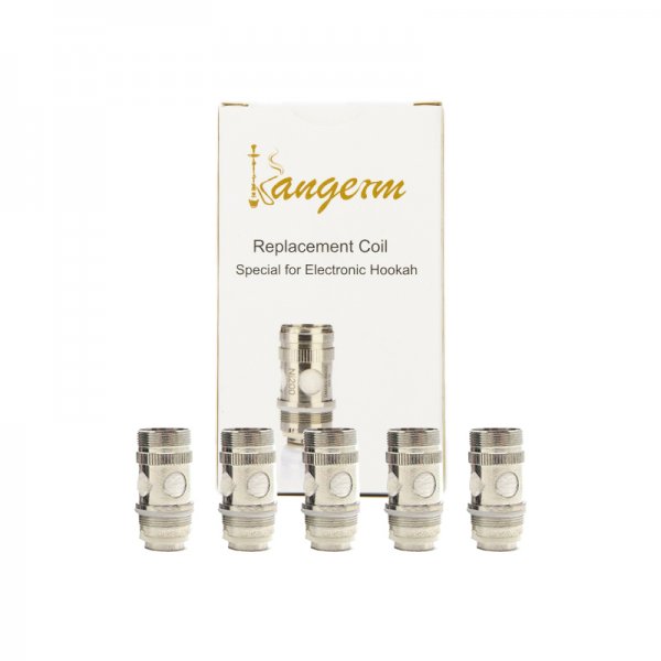 Résistance NI200 0.2 ohms Kangerm