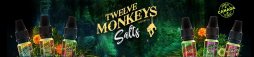 Twelve Monkeys Salts