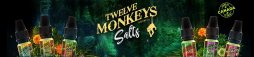 Twelve Monkeys Sels