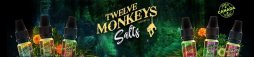Twelve Monkeys Salts