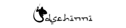 DSCHINNI