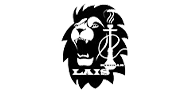 lais logo.png