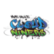 Cloud Niners